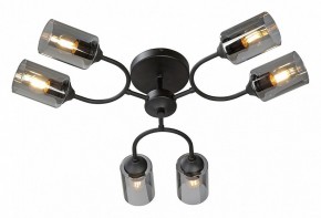 Потолочная люстра Vitaluce V2823 V2823-1/6PL в Тюмени - tumen.ok-mebel.com | фото 2
