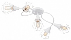 Потолочная люстра Vitaluce V3037 V3037-0/5PL в Тюмени - tumen.ok-mebel.com | фото