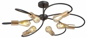 Потолочная люстра Vitaluce V3076 V3076-1/6PL в Тюмени - tumen.ok-mebel.com | фото 3