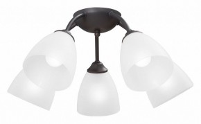 Потолочная люстра Vitaluce V3184 V3737-2/5PL в Тюмени - tumen.ok-mebel.com | фото