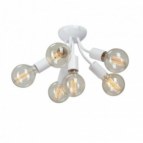 Потолочная люстра Vitaluce V3927 V3927-0/6PL в Тюмени - tumen.ok-mebel.com | фото 3