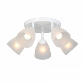 Потолочная люстра Vitaluce V4355 V4355-0/5PL в Тюмени - tumen.ok-mebel.com | фото 2