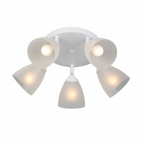 Потолочная люстра Vitaluce V4355 V4355-0/5PL в Тюмени - tumen.ok-mebel.com | фото 3