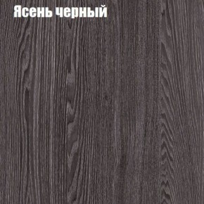 Прихожая ДИАНА-4 сек №10 (Ясень анкор/Дуб эльза) в Тюмени - tumen.ok-mebel.com | фото 3