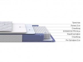 PROxSON Матрас Active Duo S/F (Ткань Трикотаж Эко) 120x195 в Тюмени - tumen.ok-mebel.com | фото 2