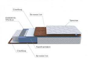 PROxSON Матрас Active F Roll (Ткань Трикотаж Эко) 120x200 в Тюмени - tumen.ok-mebel.com | фото 6