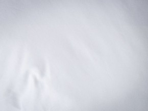 PROxSON Подушка Terra Duo (Сатин Ткань) 50x70 в Тюмени - tumen.ok-mebel.com | фото 9