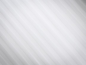 PROxSON Подушка Terra Ergo (Страйп сатин) 40x60 в Тюмени - tumen.ok-mebel.com | фото 8