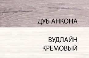 Шкаф 1DW, OLIVIA, цвет вудлайн крем/дуб анкона в Тюмени - tumen.ok-mebel.com | фото 3