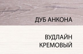 Шкаф 1DZ, OLIVIA, цвет вудлайн крем/дуб анкона в Тюмени - tumen.ok-mebel.com | фото 3