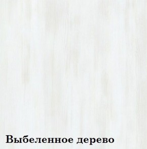 Шкаф 2-х секционный ЛЮКС 2 (фасад Зеркало) ЛДСП Стандарт в Тюмени - tumen.ok-mebel.com | фото 11