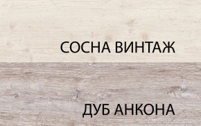Шкаф 2D1S, MONAKO, цвет Сосна винтаж/дуб анкона в Тюмени - tumen.ok-mebel.com | фото