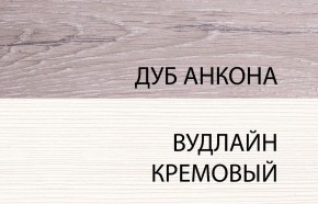 Шкаф 2DG, OLIVIA, цвет вудлайн крем/дуб анкона в Тюмени - tumen.ok-mebel.com | фото 3