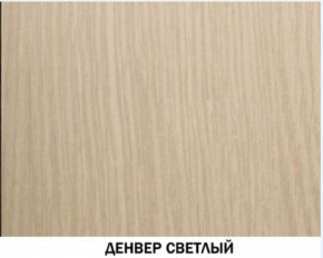 Шкаф для одежды №609 "Инна" Денвер светлый (*без полок) в Тюмени - tumen.ok-mebel.com | фото 4