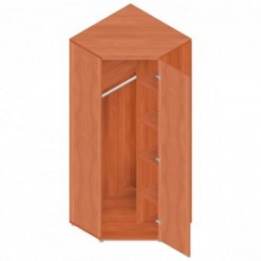 Шкаф для одежды "Референт" Р.Ш-10 в Тюмени - tumen.ok-mebel.com | фото