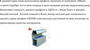 Шкаф-купе 1300 серии SILVER S3+S4+B2+PL4 (2 ящика+F обр.штанга) профиль «Серебро» в Тюмени - tumen.ok-mebel.com | фото 4
