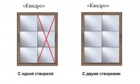 Шкаф-купе №19 Серия 3 Квадро (2000) Ясень Анкор светлый в Тюмени - tumen.ok-mebel.com | фото 3