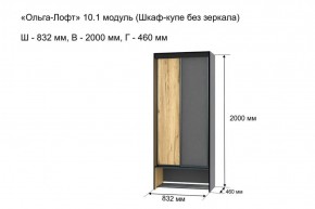Шкаф купе без зеркала "Ольга-Лофт 10.1" в Тюмени - tumen.ok-mebel.com | фото 3