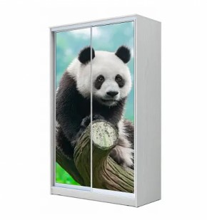 Шкаф-купе ХИТ 22-4-17-77 (420) в Тюмени - tumen.ok-mebel.com | фото 5