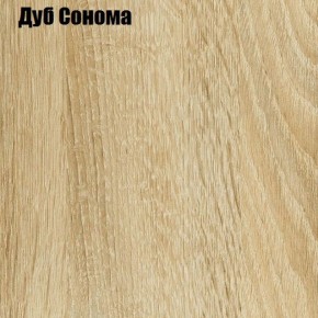 Шкаф-купе Лофт 2000 Шк20-47 (Дуб Сонома) в Тюмени - tumen.ok-mebel.com | фото 4