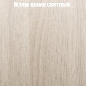 Шкаф-купе «ТАНДЕМ» 2-х дверный в алюминиевом профиле (Дверь К+К) 1200/h2200 в Тюмени - tumen.ok-mebel.com | фото 6