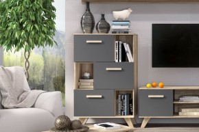 Шкаф низкий с нишами Вега Скандинавия в Тюмени - tumen.ok-mebel.com | фото 6