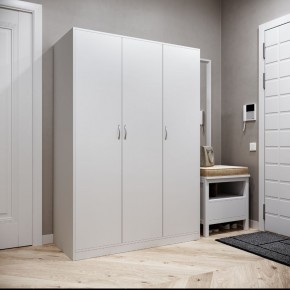 Шкаф ОРИОН трехдверный, цвет белый в Тюмени - tumen.ok-mebel.com | фото 2