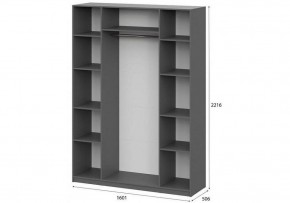 Шкаф платяной Даиго в Тюмени - tumen.ok-mebel.com | фото 3