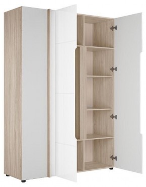 Шкаф платяной Данк в Тюмени - tumen.ok-mebel.com | фото 2