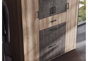 Шкаф платяной Паркинс в Тюмени - tumen.ok-mebel.com | фото 3