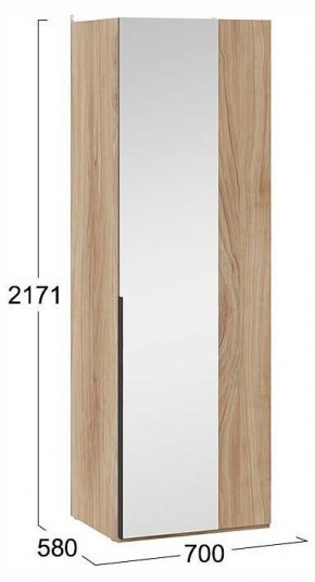 Шкаф платяной Порто СМ-393.07.007 в Тюмени - tumen.ok-mebel.com | фото 4