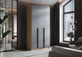 Шкаф платяной Широн в Тюмени - tumen.ok-mebel.com | фото 4