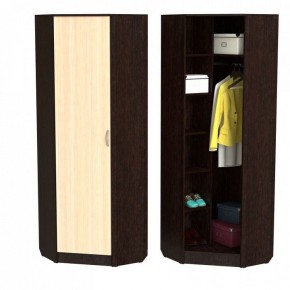 Шкаф платяной ШП-10 в Тюмени - tumen.ok-mebel.com | фото 2