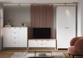 Шкаф платяной Теодора в Тюмени - tumen.ok-mebel.com | фото 4