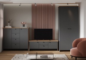 Шкаф платяной Теодора в Тюмени - tumen.ok-mebel.com | фото 3