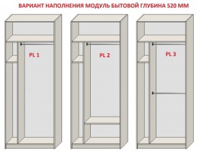 Шкаф распашной серия «ЗЕВС» (PL3/С1/PL2) Серый камень/Небраска натуральный в Тюмени - tumen.ok-mebel.com | фото 5