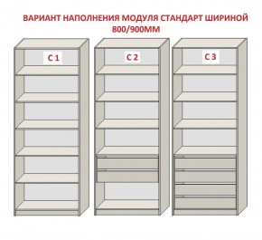 Шкаф распашной серия «ЗЕВС» (PL3/С1/PL2) Серый камень/Небраска натуральный в Тюмени - tumen.ok-mebel.com | фото 6