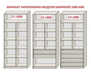 Шкаф распашной серия «ЗЕВС» (PL3/С1/PL2) Серый камень/Небраска натуральный в Тюмени - tumen.ok-mebel.com | фото 7