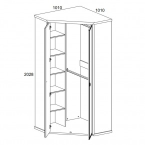 Шкаф угловой 2D, MAGELLAN, цвет Сосна винтаж в Тюмени - tumen.ok-mebel.com | фото 2