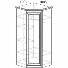 Шкаф угловой №662 "Флоренция" Фасад глухой (угол 1005*1005) Дуб оксфорд в Тюмени - tumen.ok-mebel.com | фото 3