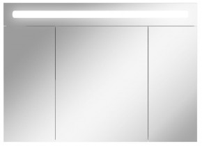 Шкаф-зеркало Аврора 100 с подсветкой LED Домино (DV8012HZ) в Тюмени - tumen.ok-mebel.com | фото 1