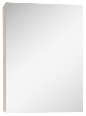 Шкаф-зеркало Мечта 40 Дуб сонома АЙСБЕРГ (DM2317HZ) в Тюмени - tumen.ok-mebel.com | фото