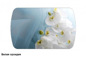Стол Бостон 2 (1100*700) опоры Брифинг (Стекло/фотопечать Белая орхидея) в Тюмени - tumen.ok-mebel.com | фото