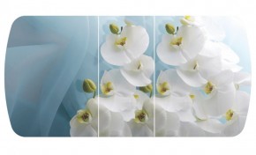 Стол Бостон-3 (Белая Орхидея) 1100/1420*700, опора Брифинг в Тюмени - tumen.ok-mebel.com | фото 2