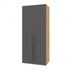 СТОУН С22 Шкаф 2-х створчатый (золотой дуб/графит) в Тюмени - tumen.ok-mebel.com | фото
