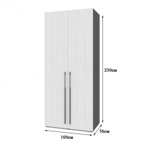 СТОУН С22 Шкаф 2-х створчатый (золотой дуб/графит) в Тюмени - tumen.ok-mebel.com | фото 2
