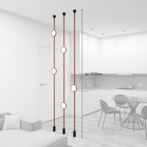 Светильник на растяжке Denkirs Belty SET DK55SET19-01-BR в Тюмени - tumen.ok-mebel.com | фото 3