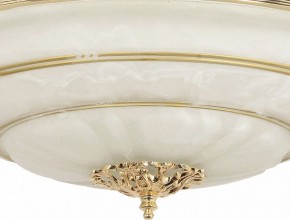 Светильник на штанге Arti Lampadari Pavia Pavia E 1.13.P40 G в Тюмени - tumen.ok-mebel.com | фото 3