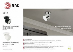 Светильник на штанге Эра OL12 GX53 SBK Б0049034 в Тюмени - tumen.ok-mebel.com | фото 5