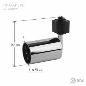 Светильник на штанге Эра  TR14-GU10 CH в Тюмени - tumen.ok-mebel.com | фото 4